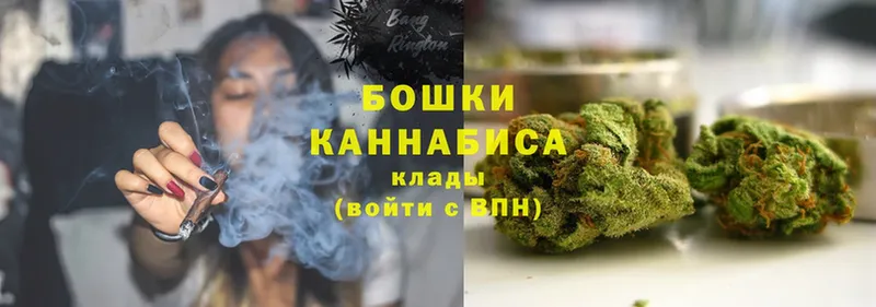 Конопля OG Kush  Москва 